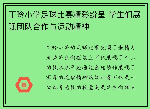 丁玲小学足球比赛精彩纷呈 学生们展现团队合作与运动精神