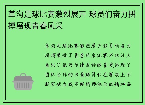草沟足球比赛激烈展开 球员们奋力拼搏展现青春风采