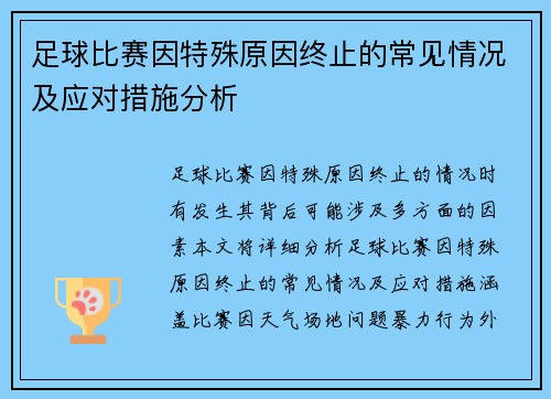 足球比赛因特殊原因终止的常见情况及应对措施分析