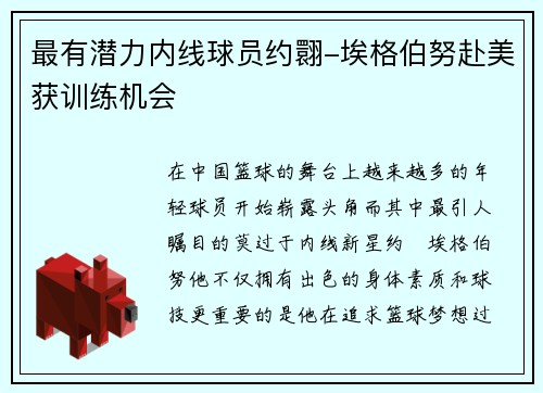 最有潜力内线球员约翾-埃格伯努赴美获训练机会