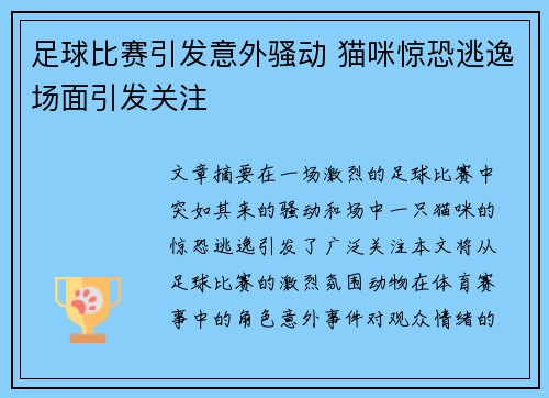 足球比赛引发意外骚动 猫咪惊恐逃逸场面引发关注
