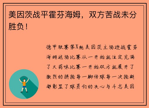 美因茨战平霍芬海姆，双方苦战未分胜负！
