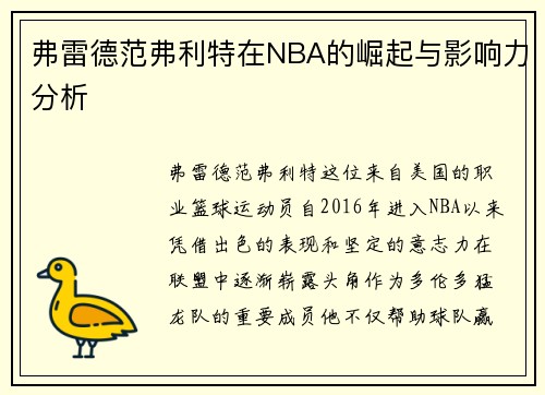 弗雷德范弗利特在NBA的崛起与影响力分析